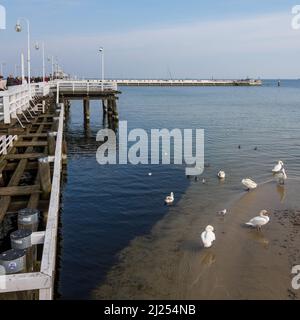 Der hölzerne Pier in Sopot, Danzig, Polen. Der längste hölzerne Pier der Welt Stockfoto