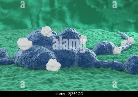 Neuroblastom-Tumorzellen im zentralen Nervensystem (Hirntumor) - Nahaufnahme Ansicht 3D Illustration Stockfoto