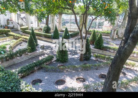 'Minerva's Garden' liegt am Rande des Burghügels, der das alte Salerno dominiert. Darin befindet sich der mittelalterliche 'Hortus sanitatis' (H Stockfoto