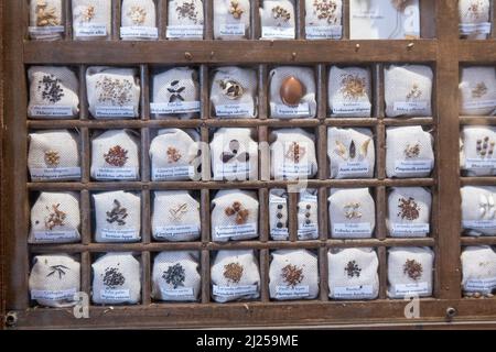 'Minerva's Garden' liegt am Rande des Burghügels, der das alte Salerno dominiert. Darin befindet sich der mittelalterliche 'Hortus sanitatis' (H Stockfoto