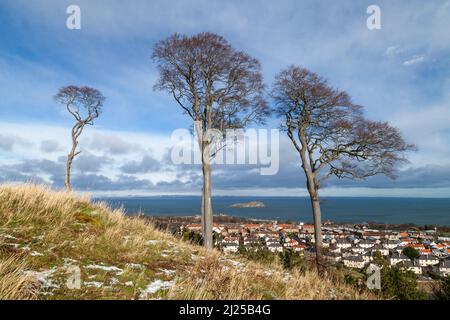 Blick von der Ostseite des North Berwick Law auf die Stadt North Berwick. Stockfoto