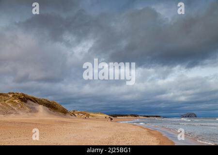 Tyninghame Beach und Bass Rock, East Lothian, Schottland Stockfoto