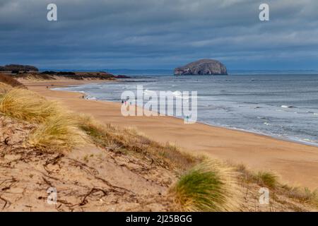 Tyninghame Beach und Bass Rock, East Lothian, Schottland Stockfoto