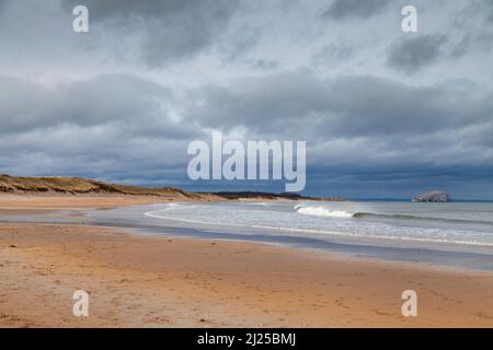 Tyninghame Beach und Bass Rock, East Lothian, Schottland Stockfoto