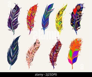 Vektor-Illustration Für Bunte Feder-Sets Stock Vektor
