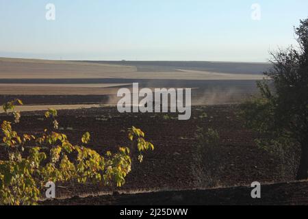 Ein alter roter Traktor, der auf einem staubigen Feld arbeitet. Ackerbau und Pflügen auf einem leeren Feld vor der Pflanzung. Stockfoto