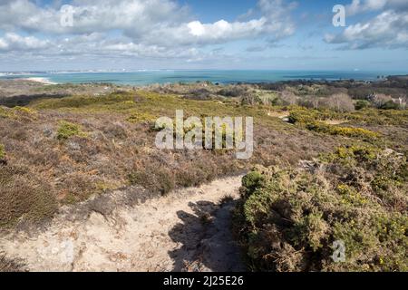 Studland Bay aus Black Down Mound, Studland und Godlingston Heath, Dorset, Großbritannien Stockfoto