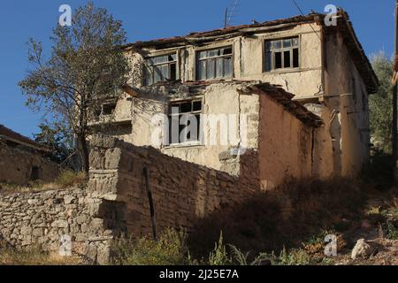 Alte linke Ruinen von Steinhaus und Garten mit einem Baum. Kaputte Fenster, beschädigte Wände und Dach. Stockfoto