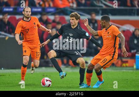 Amsterdam, Niederlande. 29. März 2022. Thomas Müller, DFB 13 Wettkampf um den Ball, Tackling, Duell, Header, zweikampf, Action, Kampf gegen Daley BLIND, NL 17 Georginio WIJNALDUM, NL 8 im Freundschaftsspiel NIEDERLANDE - DEUTSCHLAND 1-1 Vorbereitung auf die Weltmeisterschaft 2022 in Katar, Saison 2021/2022, am 29. März 2022 in Amsterdam, Niederlande. © Peter Schatz / Alamy Live News Credit: Peter Schatz/Alamy Live News Stockfoto