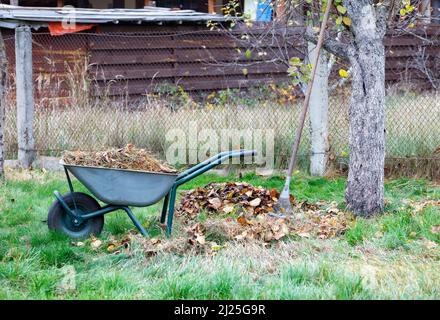 Eine Gartenrampe und ein Metallrechen stehen in der Nähe eines Stapels gefallener Blätter und trockenem Gras in einem Herbstgarten vor einem grünen Rasen. Speicherplatz kopieren. Stockfoto