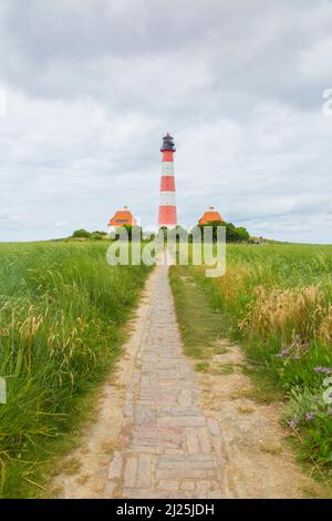 Weg zum Westerhever Leuchtturm. Nationalpark Wattenmeer, Nordfriesland, Schleswig-Holstein, Deutschland Stockfoto