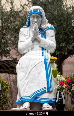 Statue der Mutter Teresa in der katholischen Kathedrale des hl. Paulus, Tirana, Albanien Stockfoto