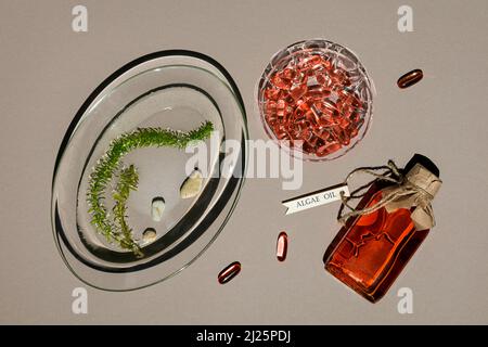 Glasflasche mit Algenöl, Gelatinekapseln und Algen in transparenter Platte. Flasche ist mit Jute-Faden mit Holzetikett gebunden. Brauner Papierhinterzieher Stockfoto