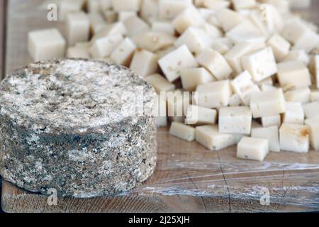 Französischer Bergkäse. Traditionelles Tomme de Savoie. Französische Alpen. Stockfoto