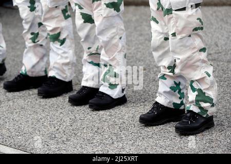 Französisches Gedenken an den Waffenstillstandstag am 11 1918. november, Ende des ersten Weltkrieges. Französische Armee. Stockfoto