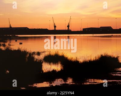 Wetlands Nature Reserve at Dawn, Cardiff Bay, Wales, Großbritannien Stockfoto