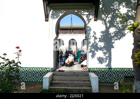 Eid Gebet in der großen Pariser Moschee, Frankreich Stockfoto