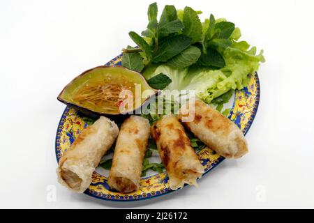 Asiatische Küche. Authentische Vietnamesische Frühlingsrollen (Nem Ran Hay Cha Gio). Stockfoto
