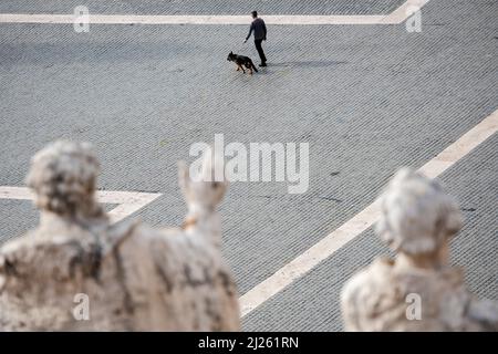 Mann, der mit einem Hund auf der leeren piazza san Pietro im Vatikan läuft. Stockfoto
