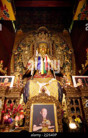 Goldener Sakyamuni Buddha in einem Kreuzgang Gebetsraum. Stockfoto