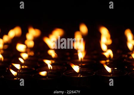 Kloster Pema Osel Ling. Butter- oder Öllampen für buddhistische Rituale. Stockfoto