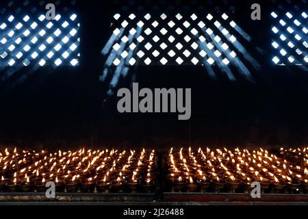 Kloster Pema Osel Ling. Butter- oder Öllampen für buddhistische Rituale. Stockfoto