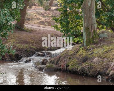 Eine kleine Stadt in Polen. Lokaler Park im frühen Frühjahr sind die Bäume blattlos. Blick auf einen kleinen Bach, der durch den Park fließt. Stockfoto