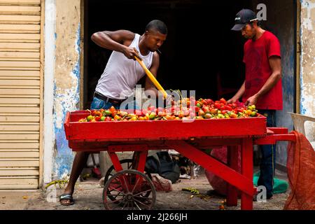 Ein afro-kolumbianischer Mann verkauft auf der Straße in Cali, Valle del Cauca, Kolumbien, rohe Chontaduro-Früchte (Pfirsichpalmen). Stockfoto