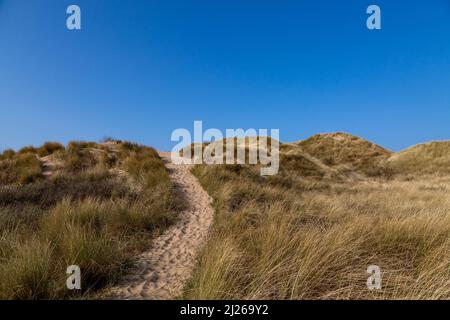 Ein Pfad über mit Maramgras bedeckte Sanddünen, bei Formby in Merseyside Stockfoto