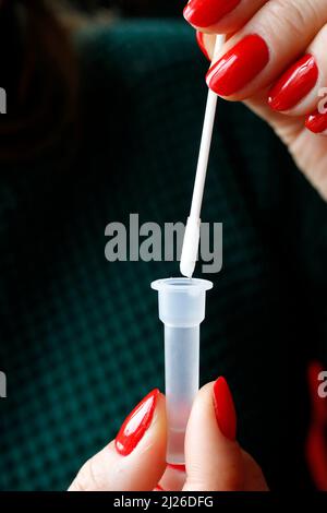 SARS-CoV-2 (COVID-19). Corona-Virus-Selbsttest für zu Hause macht eine Frau einen schnellen Test mit einem Tupfer in der Nase. Antigen-pcr-Test zum Nachweis des Coronavirus. Stockfoto