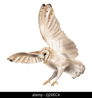 Aquarell fliegende Eule Scheune Eule. Eine realistische Illustration einer Eule. Weißer Vogel mit beigen Flügeln und Kopf Nachtvögel Stockfoto