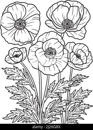 Corn Poppy Flower Coloring Seite für Erwachsene Stock Vektor