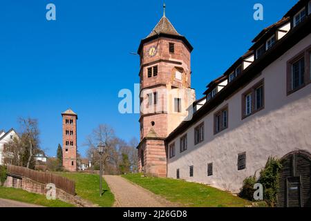 Kloster Hirsau (Kloster Hirschau) in Calw, Deutschland. Die Geschichte des Klosters geht auf das 9.. Jahrhundert zurück, aber die Basilika und die angrenzenden Gebäude kommen fr Stockfoto