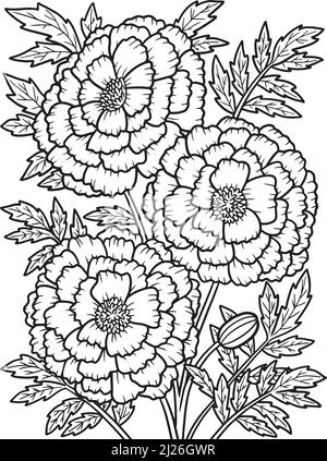 Ringelblume Blumen Malseite für Erwachsene Stock Vektor