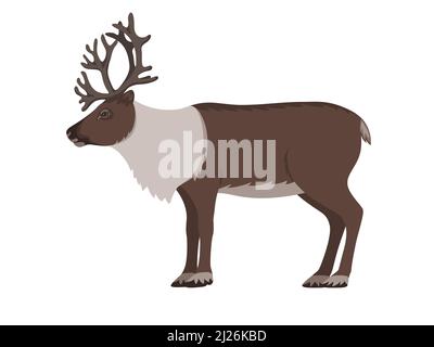 Rentier mit Geweih. Vektor-Illustration Tundra Tier Rentier isoliert auf weißem Hintergrund. Seitenansicht, Profil. Stock Vektor