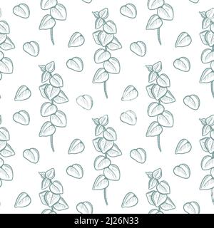 Eukalyptus Zweige nahtlose Muster Vektor Illustration Stock Vektor