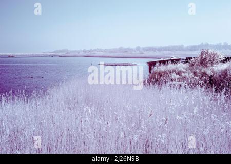 Infrarotbild des Süsswassersumpfs am RSPB Titchwell Marsh in East Anglia an einem sonnigen Märzmorgen Stockfoto