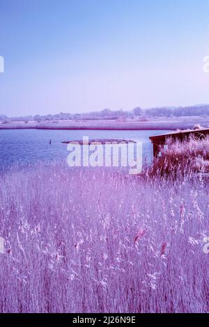 Infrarotbild des Süsswassersumpfs am RSPB Titchwell Marsh in East Anglia an einem sonnigen Märzmorgen Stockfoto