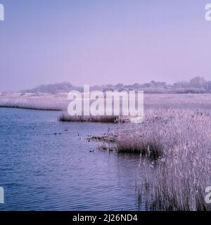 Infrarotbild des Süsswassersumpfs am RSPB Titchwell Marsh in East Anglia an einem sonnigen Märzmorgen Stockfoto