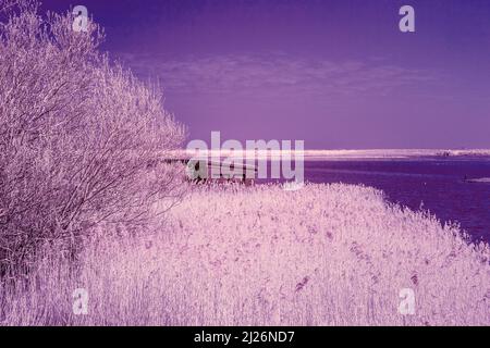 Infrarotbild des Süsswassersumpfs am RSPB Titchwell Marsh in East Anglia an einem sonnigen Märzmorgen Stockfoto