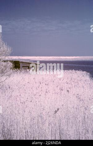 Infrarotbild des Süsswassersumpfs am RSPB Titchwell Marsh in East Anglia an einem sonnigen Märzmorgen Stockfoto