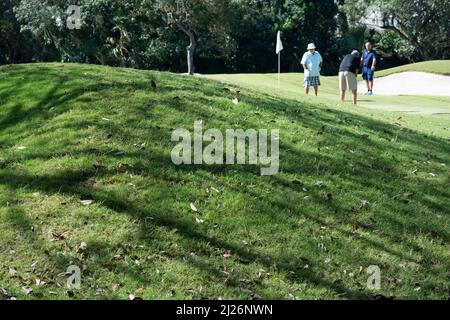 Gruppe Golfer kaukasischen Mann schütteln Hand für Freundschaft vor dem Ziel setzen Sie den Ball auf das Grün. Hobby Entspannen Sie sich im Urlaub und im Urlaub Stockfoto