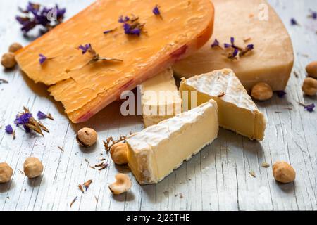 Verschiedene europäische Käsesorten (holländisch, schweizerisch, italienisch), getrocknete Blüten, Blüten, Haselnüsse, Auf dem Tisch, Nahaufnahme. Stockfoto