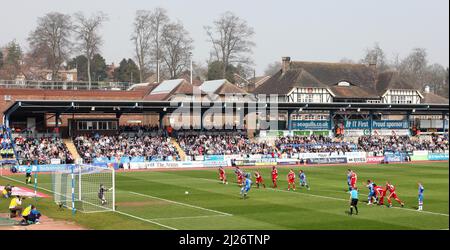 JAMES BOARDMAN / 07967642437 Gary Dicker von Brighton erzielt im Withdean Stadium am 26 2011. März das Eröffnungstor beim Spiel npower League One zwischen Brighton und Hove Albion und Swindon Town. Stockfoto