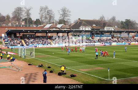 JAMES BOARDMAN / 07967642437 Gary Dicker von Brighton erzielt im Withdean Stadium am 26 2011. März das Eröffnungstor beim Spiel npower League One zwischen Brighton und Hove Albion und Swindon Town. Stockfoto