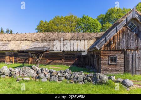 Ländliche Fachwerkscheune mit Reetdach im Sommer Stockfoto