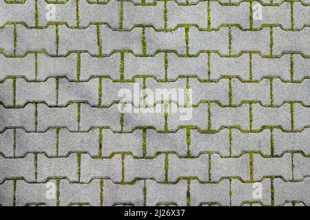 Texturkarte. Speziell geformte ineinander verschließende Pflastersteine und Gras zwischen den Steinen. Randstein, Kopfsteinpflaster, Steinplatten. Selektiver Fokus. Betonsteinrückwand Stockfoto