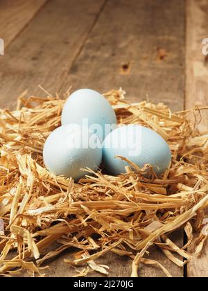 Mit natürlichen Farbstoffen selbst gefärbte Bio-Eier in einem Strohnest, Urlaub oder gesunde Ernährung Konzept Stockfoto