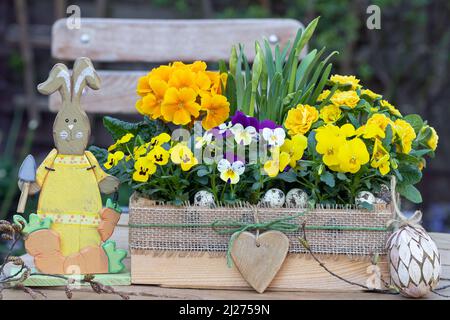 osterdekoration mit gelben Viola-Blüten und Primeln in Holzkiste und osterhase Stockfoto
