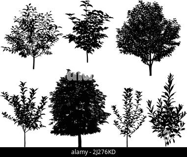 Sammlung von Silhouetten von Bäumen: apfel, Kirsche, Kastanie, Pfirsich, Pflaume, viburnum Stock Vektor